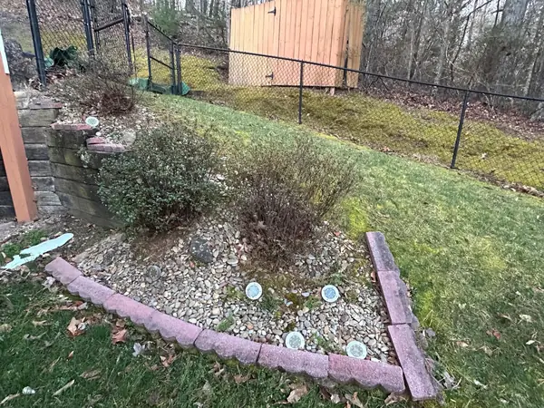 Yard before WNC Lawn and Home Care service
